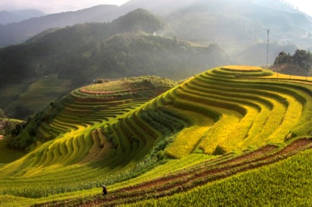 Vietnam topography